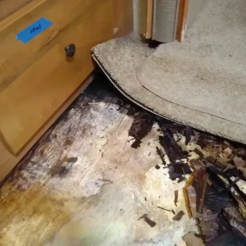 Best Wood Floor Water Damage Service in Santa Clara Pueblo, NM